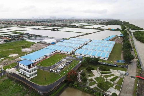 中国虾业进入4.0时代 谁是2022 工厂化养虾智能设备领军企业