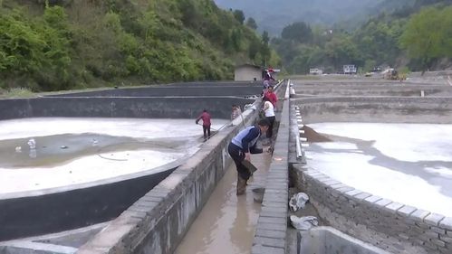 贵州省铜仁市印江两河村:发展水产养殖 带动群众增收