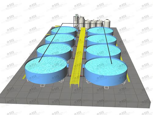 工厂化循环水养殖系统 高密度水产养殖设备